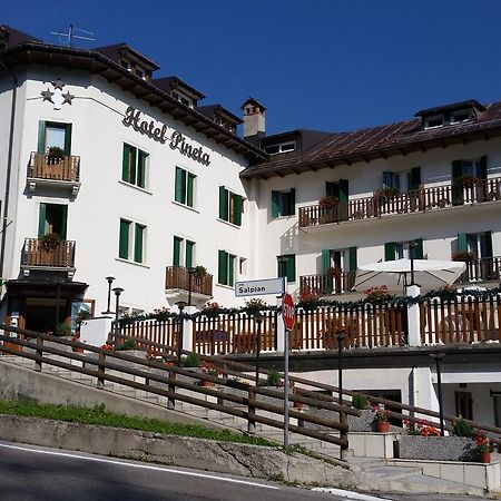 Hotel Pineta Фалькаде Экстерьер фото