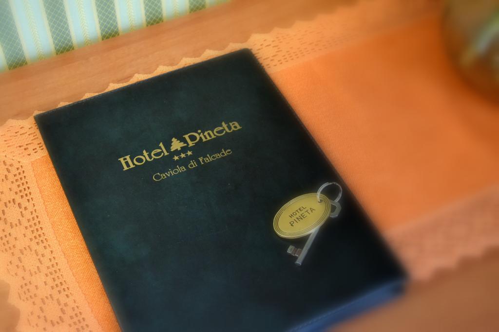 Hotel Pineta Фалькаде Номер фото